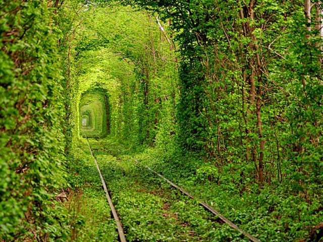 тоннель любви Украина