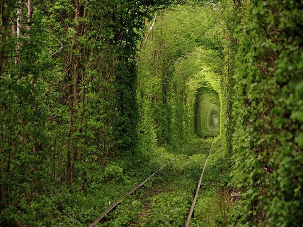 тоннель любви Украина