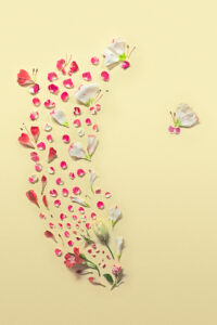 Сингапурский фотограф Фонг Ци Вэй (Fong Qi Wei) создает красивые композиции из лепестков цветов