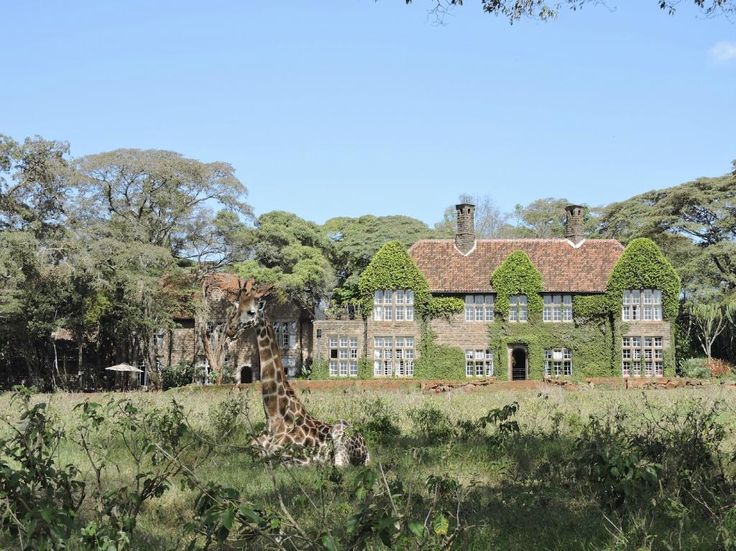  Giraff Manor
