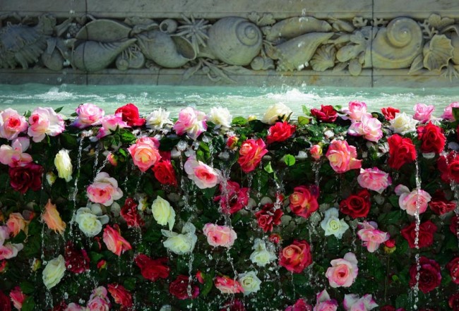 фестиваль роз в Лионе