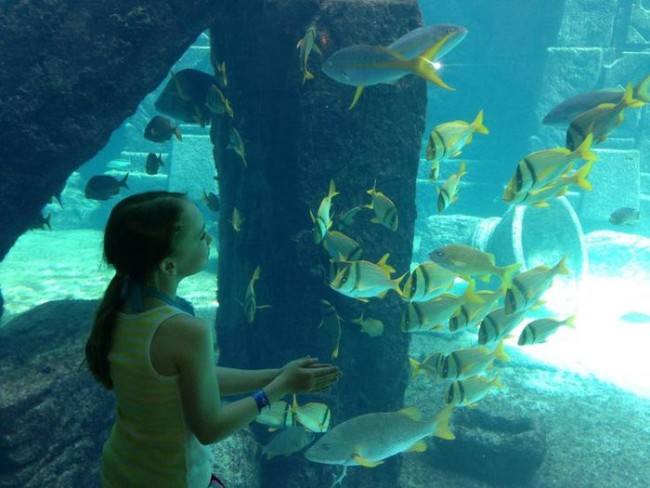 аквариум Багамы