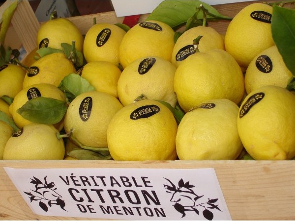фестиваль лимонов в ментоне франция