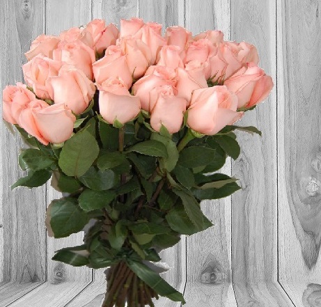 как сохранить розы в вазе, как продлить жизнь розы в вазе, Как сохранить дольше срезанные розы в вазе?